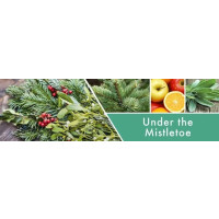 Under the Mistletoe 2-Docht-Kerze 680g