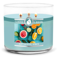Goose Creek Candle® Optimistic Vibes 3-Docht-Kerze 411g